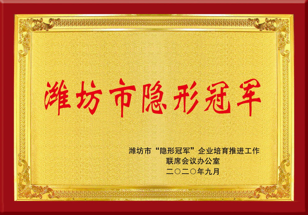 濰坊市隐形冠軍(jun1)